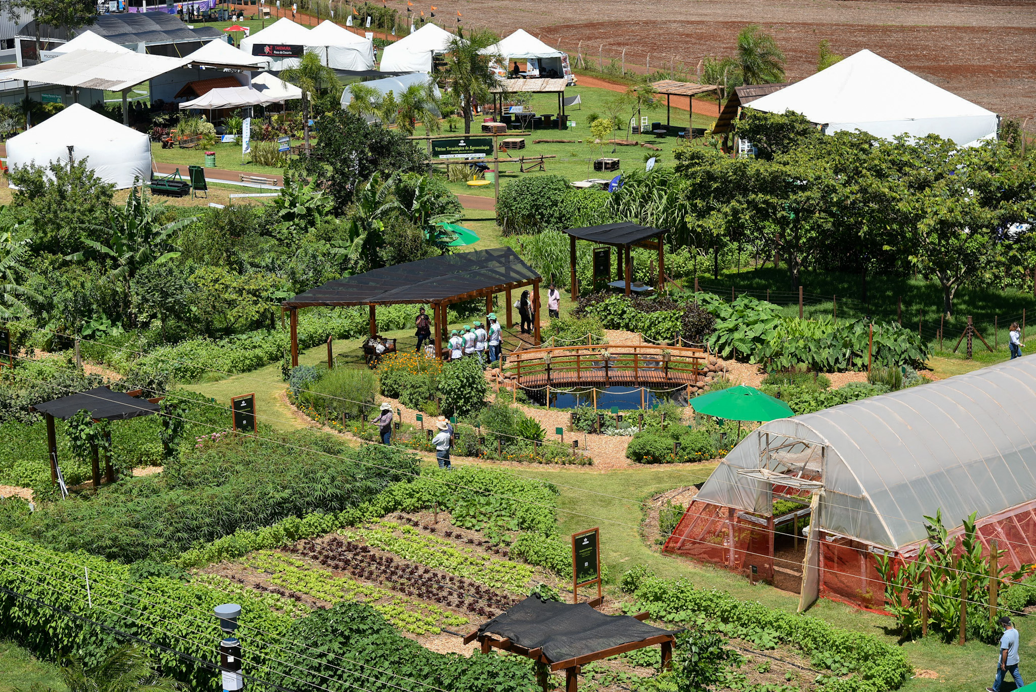 Vista aérea da Vitrine Agroecológica. Foto: Rubens Fraulini.