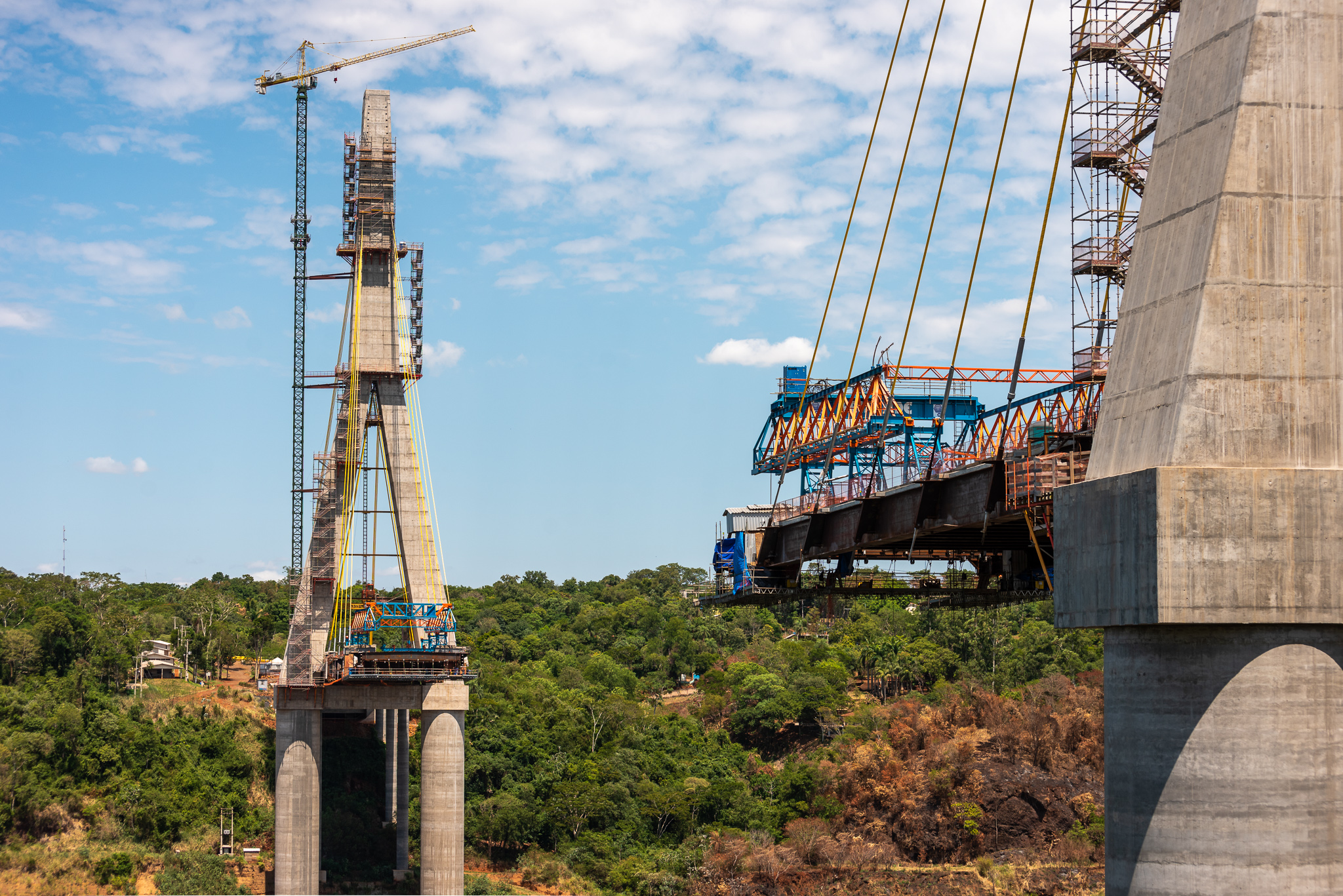 Evolução está rápida em ambas as margens. Foto: Rubens Fraulini. 