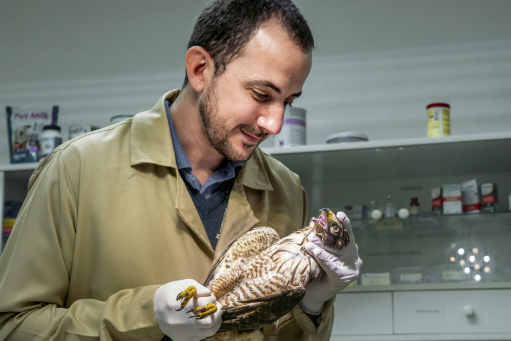 Pedro Teles é o novo veterinário a integrar a equipe do RBV