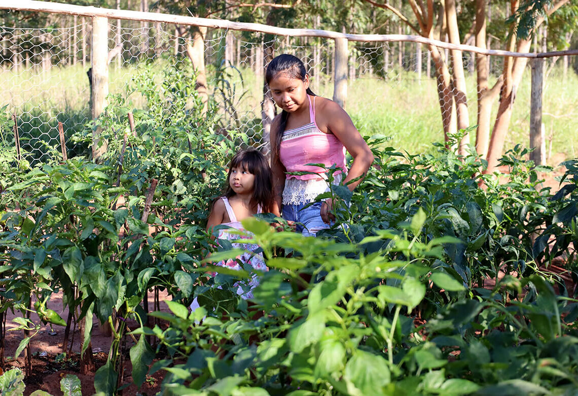 Fotos: Ana Paula Soukef e Fábio Conterno
