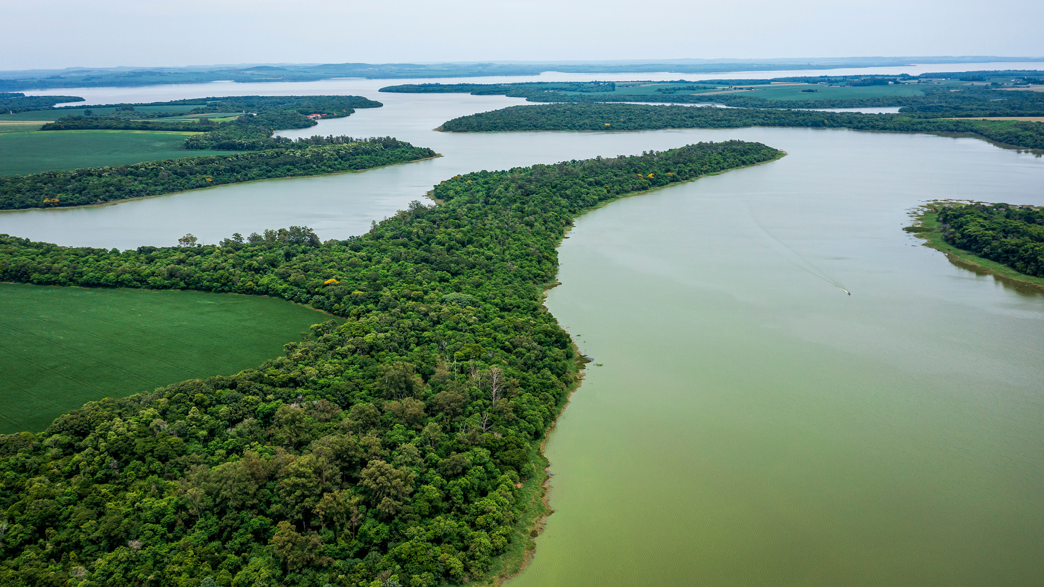 Faixa de proteção do reservatório. Foto: Edino Krug/Itaipu Binacional.