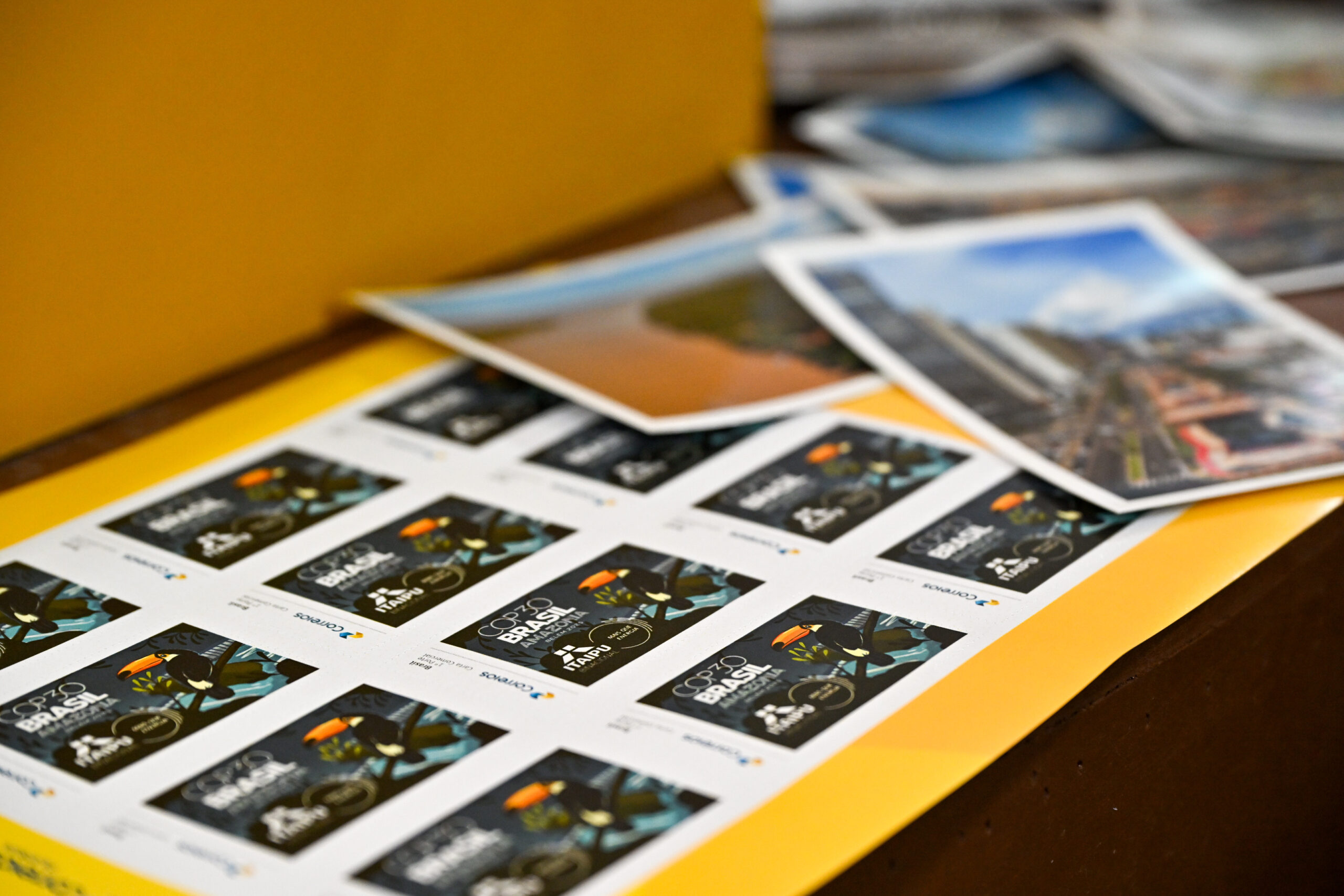 Fotos: William Brisida/Itaipu Binacional.