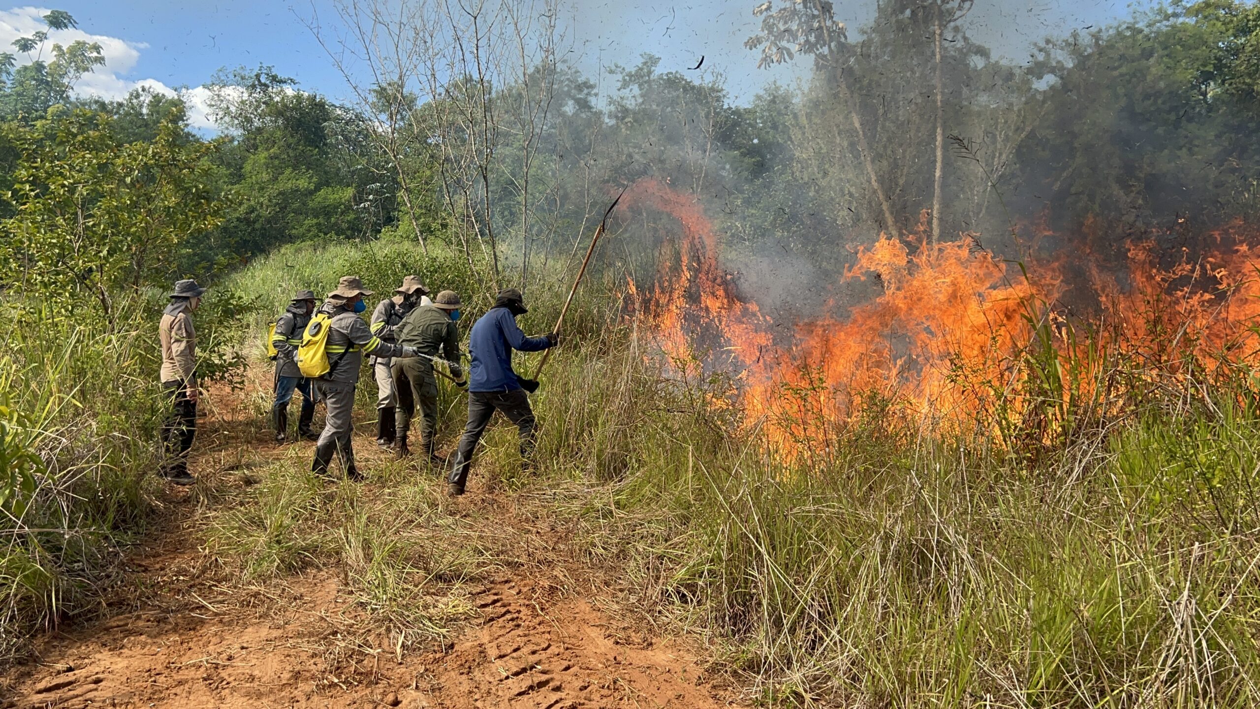 Brigada Florestal em treinamento no final de novembro. Foto: Luis Cesar da Silva.